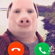 wexoer
