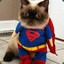 SuperCat