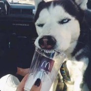 布尔玛的桃白白