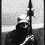 kraniehøster