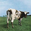 catarse.moida