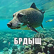 Imperator Oblezlogo Kirpicha