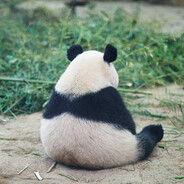 ✪ lukadowski - steam id 76561197960598144