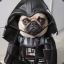 Arf Vader