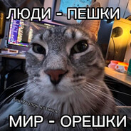 ZOO || шахматы - steam id 76561199498077219