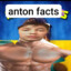 Anton facts