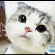 《棋皇修炼手册》