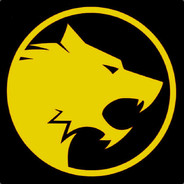 Kfir_LW