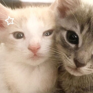 mewilis <3 N