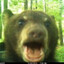Tanpopo