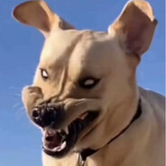 刹娜握住了未来