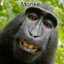 Monke