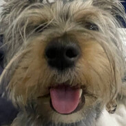 Аватар Вэнючий-Вэнык