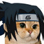 SasukeCat