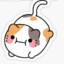 babycat