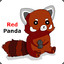 Red Panda