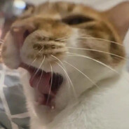 他们都叫我大师