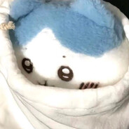 青青草原大大灰