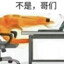不是哥们