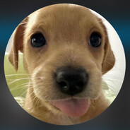 HUNTEROFF - steam id 76561198993749926