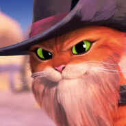 O Gato - steam id 76561197962381222