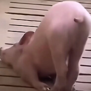 幼儿园颜值担当