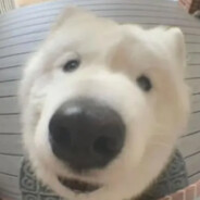 比基尼海滩开兰博基尼