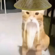 老字号中医~药到病除