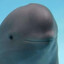 SkySniper