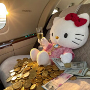 打我一只kitty猫