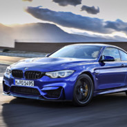 андрей рапира