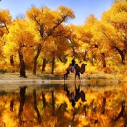 最强王者陈皮皮