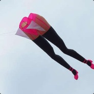 扶摇直上九万里