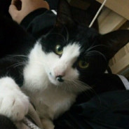 又是空枪的一天