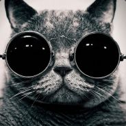 XXXMUFF1N - steam id 76561198018912028