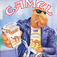 JOE CAMEL