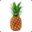 PineApple0