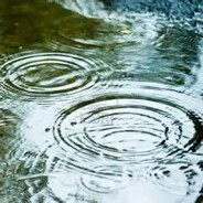 puddle