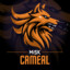 CAMEAL
