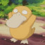 Psyduck