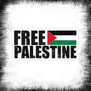 DAN^#Free Palestine - steam id 76561199624645137