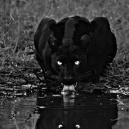 Mr᭄𝖇𝖑𝖆𝖈𝖐 𝕻