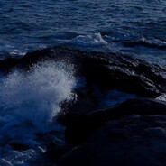 乌鸦不是坏兆头