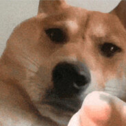 菜鸟快递，说寄就寄