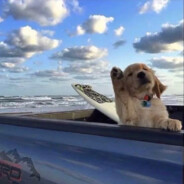 我今天长牙了！