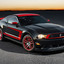 MUSTANG _2507