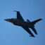 The F-16 &quot;Fighting Falcon&quot;