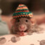hopermot