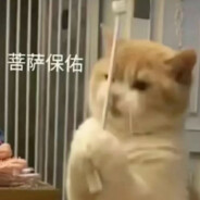 这就有点突然了