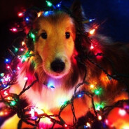 William. Tocayo supremo.,